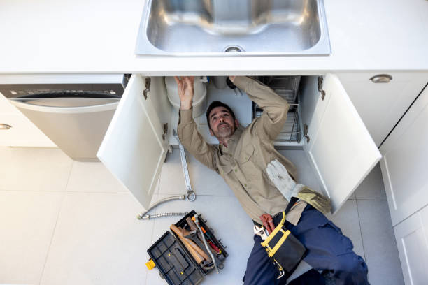 Best Commercial Plumbing Services  in Roseland, OH