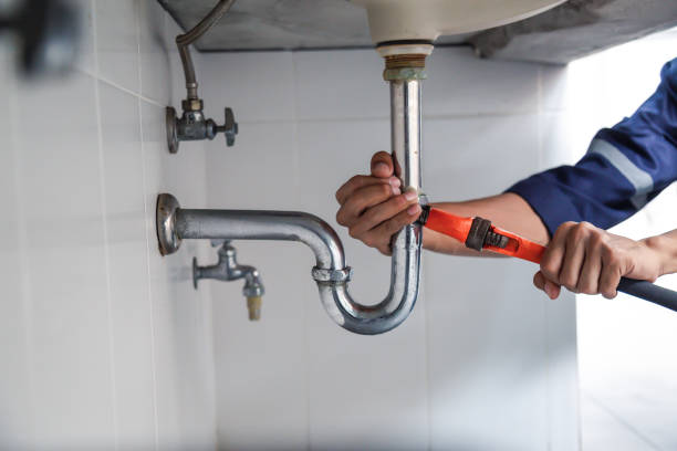 Best Affordable Plumbing Services  in Roseland, OH