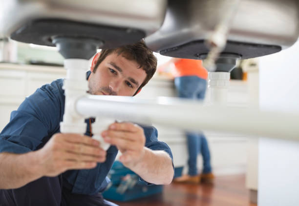 Best Plumbing Services Near Me  in Roseland, OH